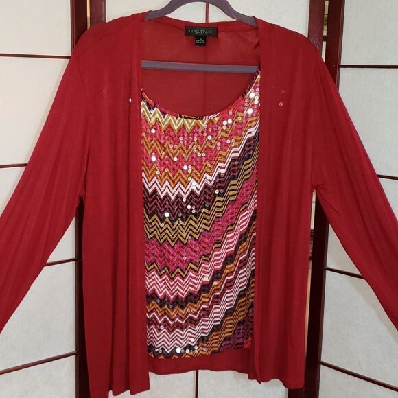 August Silk Multi-colored Chevron Sequin Crewneck Top - Picture 2 of 9